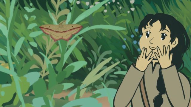 Your Ultimate Guide to Downloading the Latest Moth-Watching Game
