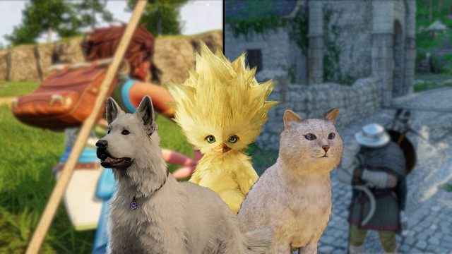 Discover the Best Games to Pet Your Virtual Pals Right Now