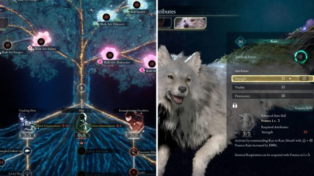 Game: Beast of Reincarnation: Best Skills & Attributes to Upgrade
