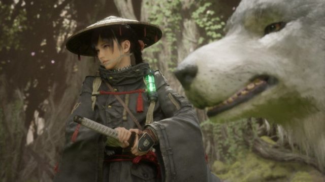 Game: Beast Of Reincarnation review: A briefly fun Sekiro-like that becomes chew