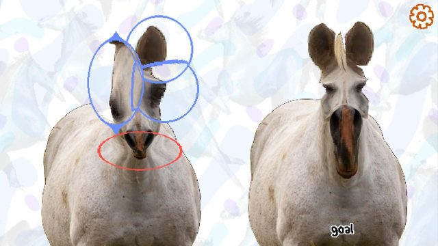 The Ultimate Guide to Downloading Horse Magnifier for Gamers