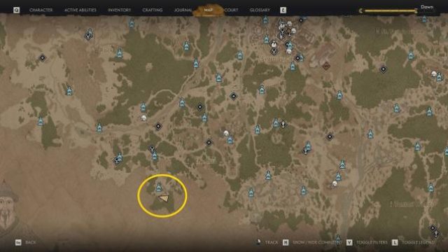 Mastering the Loop: A Comprehensive Guide to Blood of Dawnwalker